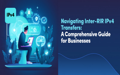Navigating Inter-RIR IPv4 Transfers: A Comprehensive Guide for Businesses